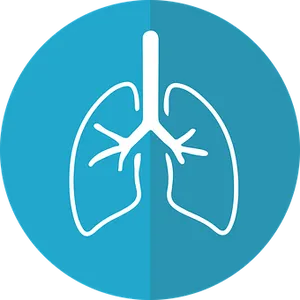 Human Lungs Icon PNG Image