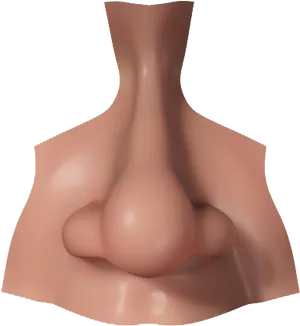 Human Nose Close Up3 D Render PNG Image