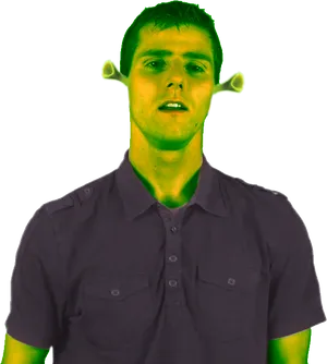 Human Shrek Hybrid Portrait PNG Image