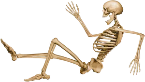 Human Skeleton Running Pose PNG Image