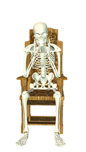 Human Skeleton Seatedon Chair PNG Image