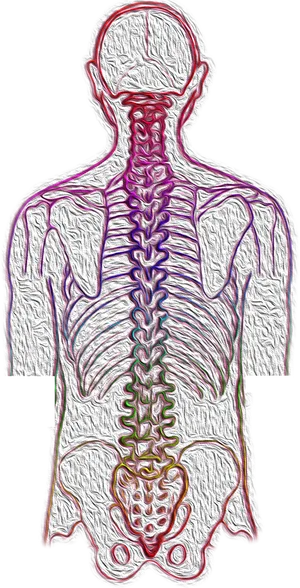 Human Spine Pain Artistic Representation PNG Image