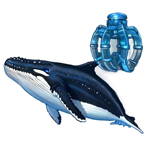 Humpback Whale Underwater Scene Png Vfj42 PNG Image