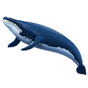 Humpback Whale Vocalization Diagram Png 06212024 PNG Image