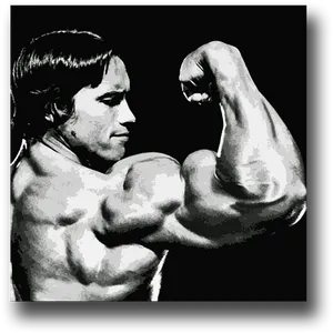 Iconic Muscle Display Arnold PNG Image