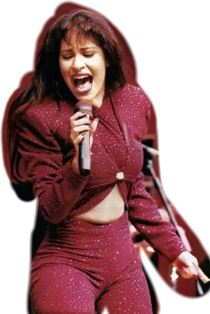 Iconic Performance Singer Stage Outfit PNG Image