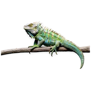 Iguana On Tree Branch Png Sxi PNG Image