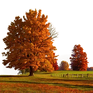 Illinois Autumn Landscape Png Raj13 PNG Image