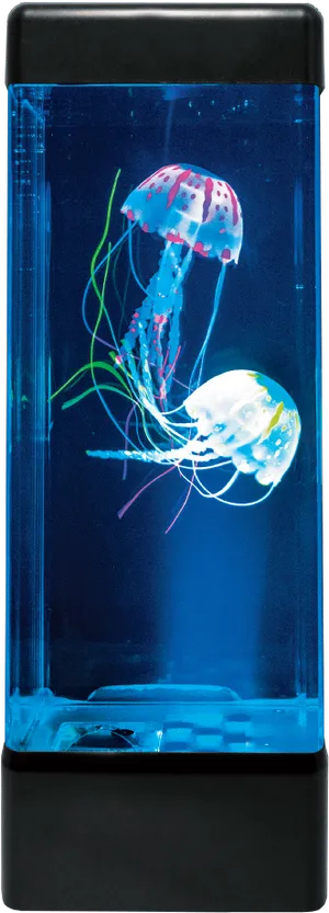 Illuminated Jellyfishin Tank.jpg PNG Image