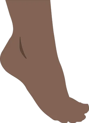 Illustrated Brown Foot Side View.png PNG Image