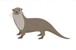 Illustrated Brown Otteron Blue Background PNG Image