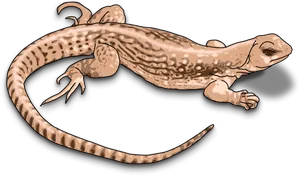 Illustrated Geckoon Blue Background.png PNG Image