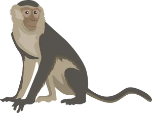 Illustrated Monkey Graphic PNG Image