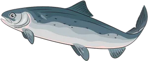 Illustrated Salmon Side View PNG Image