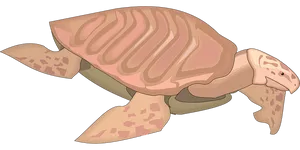 Illustrated Sea Turtle Graphic PNG Image