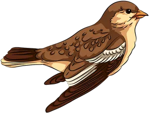 Illustrated Sparrow Profile PNG Image