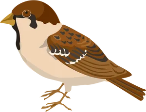 Illustrated Sparrow Profile PNG Image