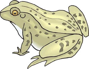 Illustrated Spotted Frog PNG Image