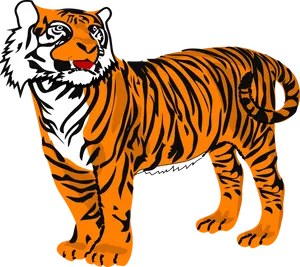 Illustrated Tiger Standing PNG Image