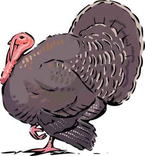 Illustrated Turkey Bird PNG Image