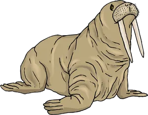 Illustrated Walruswith Tusks PNG Image