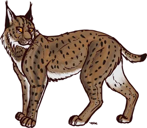 Illustrated Wild Lynx Walking PNG Image