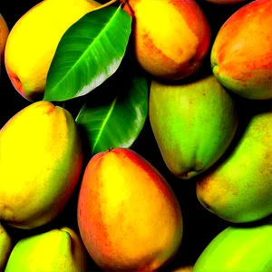 Indian Mangoes Variety Png Uql PNG Image