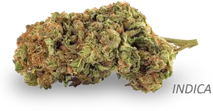 Indica Cannabis Nugget PNG Image