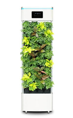 Indoor Hydroponic Vertical Garden System PNG Image