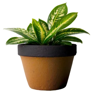 Indoor Plants In Pots Png Yqx45 PNG Image