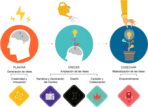 Innovation_ Process_ Stages PNG