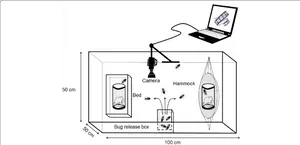 Insect Attraction Experiment Setup PNG Image