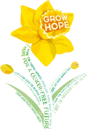 Inspirational Daffodil Grow Hope Illustration PNG Image