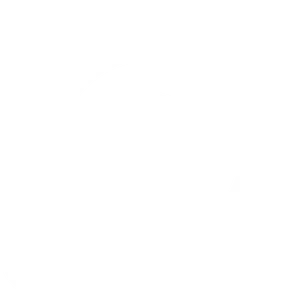 Instagram Logo White Icon PNG Image