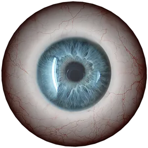 Intense_ Blue_ Eye_ Closeup PNG Image