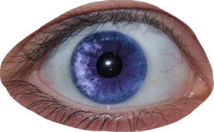 Intense_ Blue_ Eye_ Closeup.png PNG Image