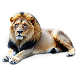 Intense Lion Look Png Bxj PNG Image