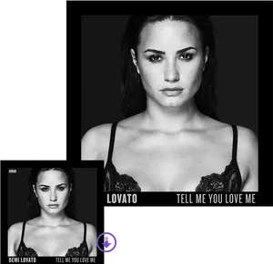 Intense Portrait Demi Lovato PNG Image