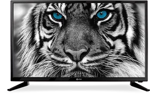 Intense Tiger Eyes Television Display PNG Image