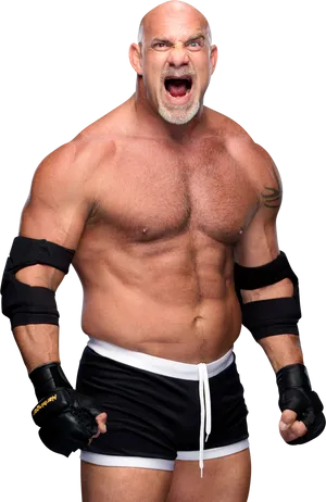 Intense_ Wrestler_ Pose PNG Image