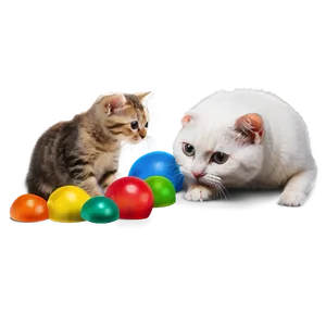 Interactive Cat Toy Png 06212024 PNG Image