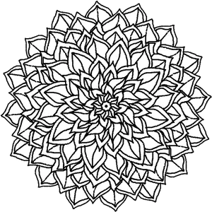 Intricate Dahlia Line Art PNG Image