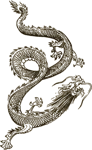 Intricate Dragon Tattoo Design PNG Image