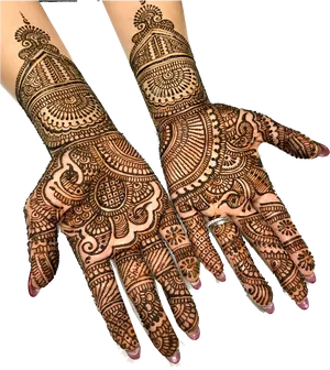 Intricate Mehndi Designon Hands PNG Image