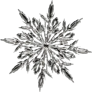 Intricate Snowflake Crystal Photography PNG Image