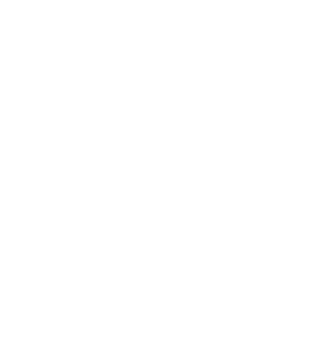 Intricate Spider Web Design PNG Image