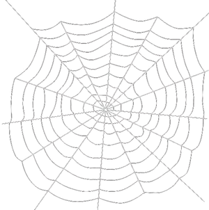 Intricate Spider Web Design PNG Image