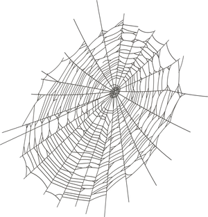 Intricate Spider Webon Black Background PNG Image