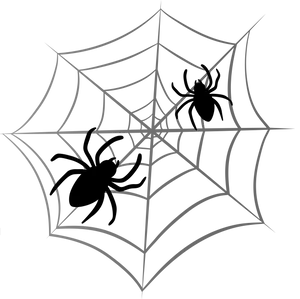 Intricate Spider Webon Black Background PNG Image