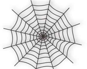 Intricate Spider Webon Dark Background PNG Image